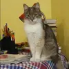 Отзыв от Дарья Сальникова